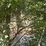 Vila Le Moulin De Rochopt Boussy-Saint-Antoine