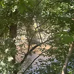 Le Moulin De Rochopt * Boussy-Saint-Antoine