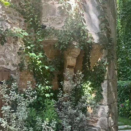 Le Moulin De Rochopt Boussy-Saint-Antoine
