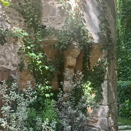 Le Moulin De Rochopt Vila Boussy-Saint-Antoine