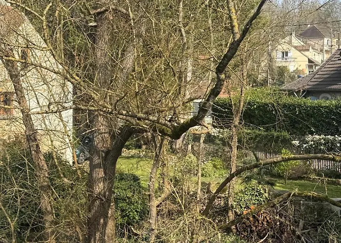 Le Moulin De Rochopt Vila Boussy-Saint-Antoine